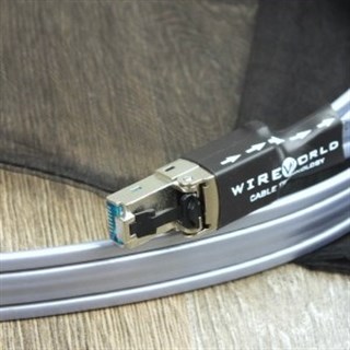 WIREWORLD PLATINUM STARLIGHT 8 TWINAX  Ethernet Kablo